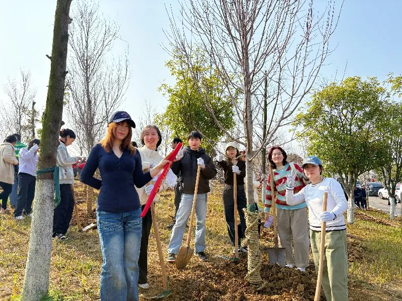 Planting Greenery, Harvesting Happiness: Dawning's Tree Planting Activity on Mopan Isle